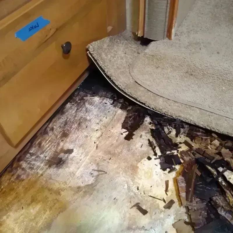 Best Wood Floor Water Damage Service in Gretna, LA